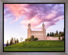 Load image into Gallery viewer, Manti Cotton Candy