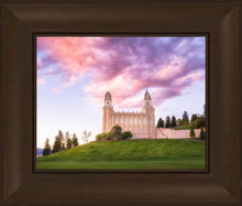 Load image into Gallery viewer, Manti Cotton Candy