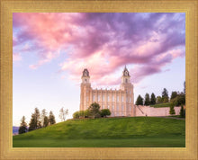 Load image into Gallery viewer, Manti Cotton Candy