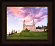Load image into Gallery viewer, Manti Cotton Candy
