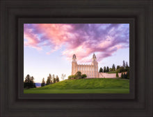 Load image into Gallery viewer, Manti Cotton Candy