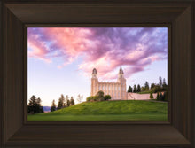 Load image into Gallery viewer, Manti Cotton Candy