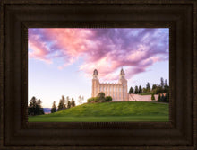 Load image into Gallery viewer, Manti Cotton Candy