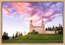 Load image into Gallery viewer, Manti Cotton Candy