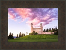 Load image into Gallery viewer, Manti Cotton Candy