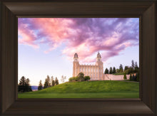 Load image into Gallery viewer, Manti Cotton Candy
