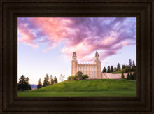 Load image into Gallery viewer, Manti Cotton Candy