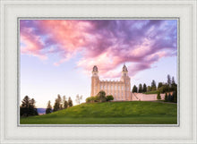 Load image into Gallery viewer, Manti Cotton Candy