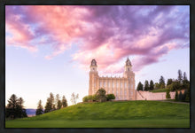 Load image into Gallery viewer, Manti Cotton Candy