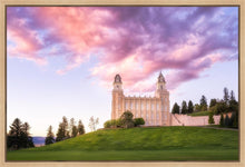 Load image into Gallery viewer, Manti Cotton Candy