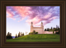 Load image into Gallery viewer, Manti Cotton Candy