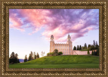 Load image into Gallery viewer, Manti Cotton Candy