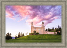 Load image into Gallery viewer, Manti Cotton Candy