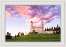 Load image into Gallery viewer, Manti Cotton Candy