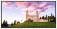 Load image into Gallery viewer, Manti Cotton Candy