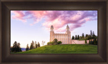 Load image into Gallery viewer, Manti Cotton Candy