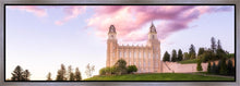 Load image into Gallery viewer, Manti Cotton Candy