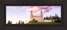 Load image into Gallery viewer, Manti Cotton Candy