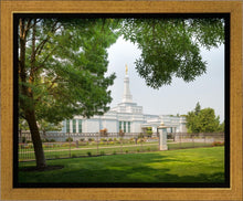 Load image into Gallery viewer, Medford Daydream
