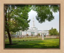 Load image into Gallery viewer, Medford Daydream