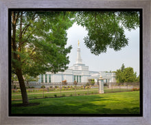 Load image into Gallery viewer, Medford Daydream