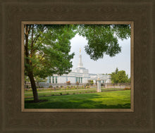 Load image into Gallery viewer, Medford Daydream