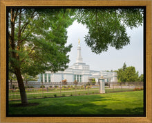 Load image into Gallery viewer, Medford Daydream