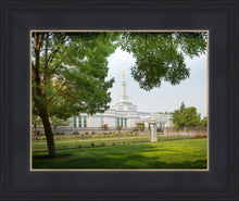Load image into Gallery viewer, Medford Daydream