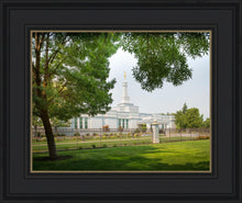 Load image into Gallery viewer, Medford Daydream