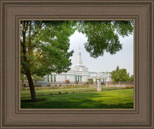 Load image into Gallery viewer, Medford Daydream