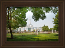 Load image into Gallery viewer, Medford Daydream
