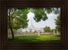 Load image into Gallery viewer, Medford Daydream