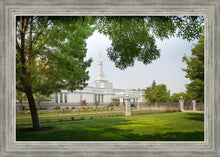 Load image into Gallery viewer, Medford Daydream