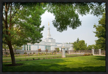 Load image into Gallery viewer, Medford Daydream