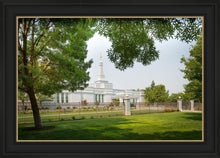 Load image into Gallery viewer, Medford Daydream