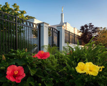 Load image into Gallery viewer, Memphis Flowers