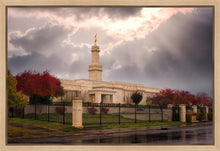 Load image into Gallery viewer, Monticello Breaking Storm