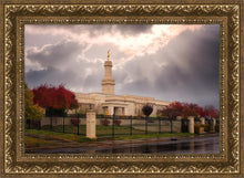 Load image into Gallery viewer, Monticello Breaking Storm
