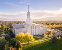 Load image into Gallery viewer, Golden Timpanogos