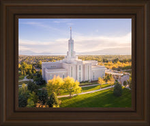 Load image into Gallery viewer, Golden Timpanogos