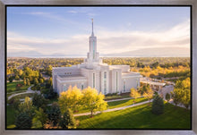 Load image into Gallery viewer, Golden Timpanogos