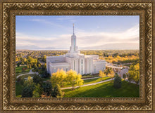 Load image into Gallery viewer, Golden Timpanogos