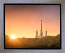 Load image into Gallery viewer, Washington DC Sunset Gold