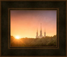 Load image into Gallery viewer, Washington DC Sunset Gold