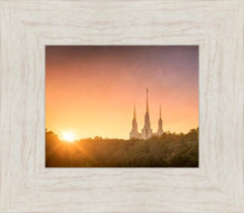 Load image into Gallery viewer, Washington DC Sunset Gold