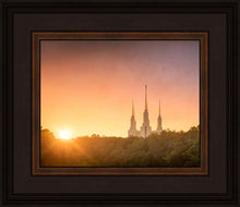 Load image into Gallery viewer, Washington DC Sunset Gold
