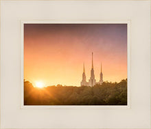 Load image into Gallery viewer, Washington DC Sunset Gold