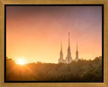 Load image into Gallery viewer, Washington DC Sunset Gold