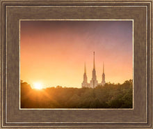 Load image into Gallery viewer, Washington DC Sunset Gold