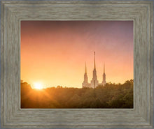 Load image into Gallery viewer, Washington DC Sunset Gold
